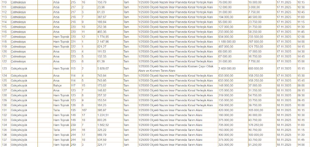 Konya'da hazine arazileri çok ucuza satılacak! Sadece 40 bin TL 9
